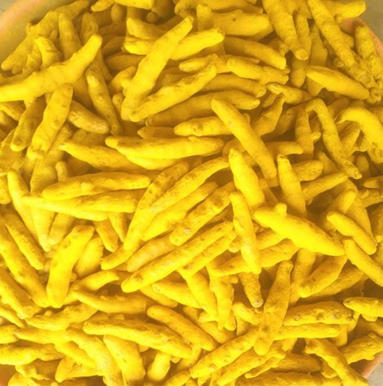 JAPAN Grade Double Polish/ Hand Picked / Most Premium Finger Turmeric