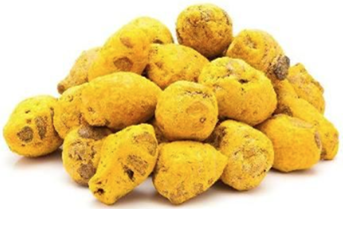 Selam Gatta / Bulb Turmeric Single Polish